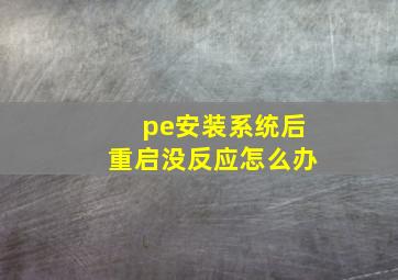 pe安装系统后重启没反应怎么办