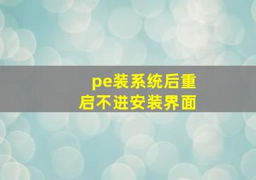 pe装系统后重启不进安装界面