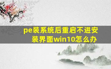 pe装系统后重启不进安装界面win10怎么办