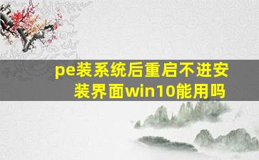 pe装系统后重启不进安装界面win10能用吗