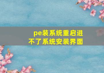 pe装系统重启进不了系统安装界面