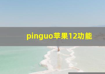 pinguo苹果12功能