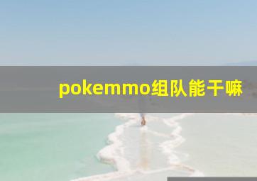 pokemmo组队能干嘛