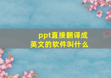 ppt直接翻译成英文的软件叫什么