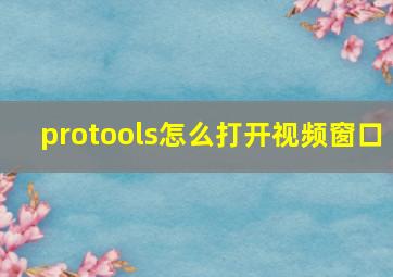 protools怎么打开视频窗口