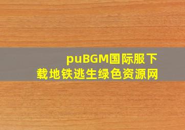 puBGM国际服下载地铁逃生绿色资源网