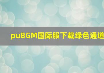 puBGM国际服下载绿色通道