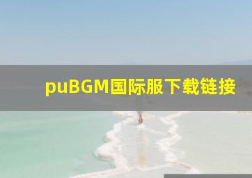 puBGM国际服下载链接