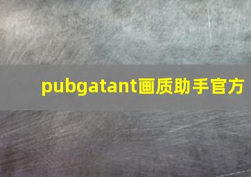 pubgatant画质助手官方