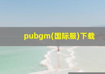 pubgm(国际服)下载