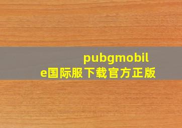 pubgmobile国际服下载官方正版