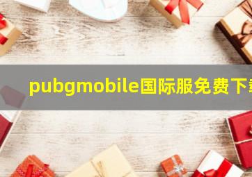 pubgmobile国际服免费下载