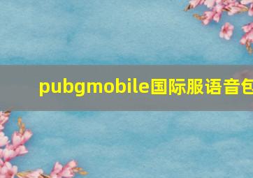 pubgmobile国际服语音包