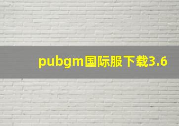 pubgm国际服下载3.6