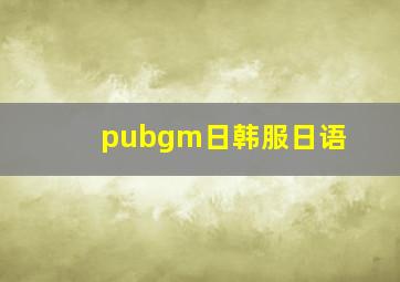 pubgm日韩服日语