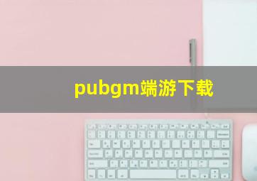 pubgm端游下载