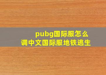 pubg国际服怎么调中文国际服地铁逃生