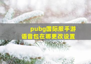 pubg国际服手游语音包在哪更改设置