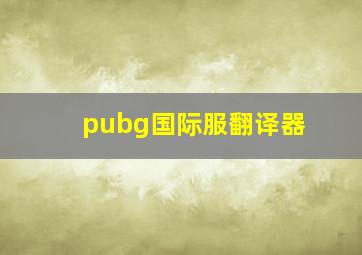 pubg国际服翻译器