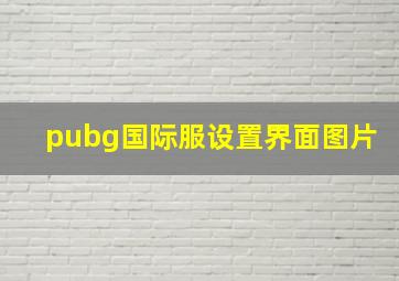 pubg国际服设置界面图片