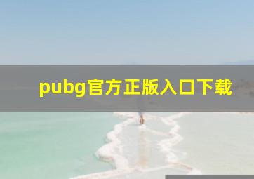 pubg官方正版入口下载