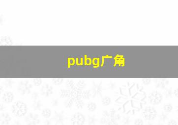 pubg广角