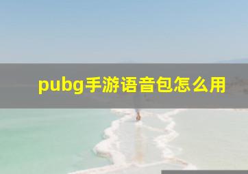 pubg手游语音包怎么用