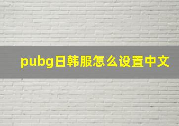 pubg日韩服怎么设置中文