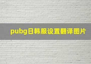 pubg日韩服设置翻译图片