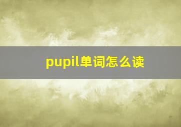 pupil单词怎么读