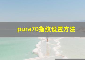 pura70指纹设置方法