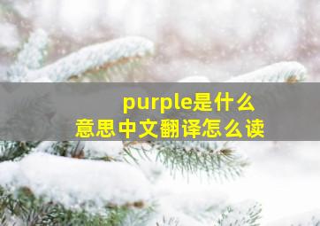 purple是什么意思中文翻译怎么读