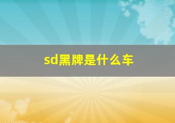 sd黑牌是什么车