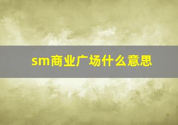 sm商业广场什么意思