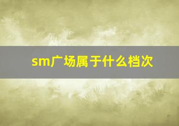 sm广场属于什么档次