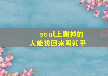 soul上删掉的人能找回来吗知乎