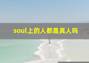 soul上的人都是真人吗