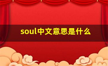 soul中文意思是什么