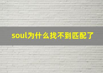 soul为什么找不到匹配了