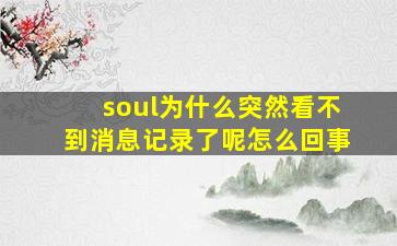 soul为什么突然看不到消息记录了呢怎么回事