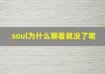 soul为什么聊着就没了呢