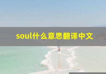 soul什么意思翻译中文