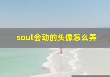 soul会动的头像怎么弄