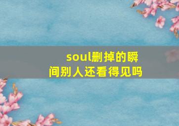 soul删掉的瞬间别人还看得见吗