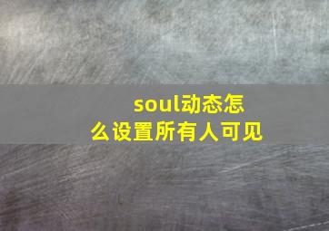 soul动态怎么设置所有人可见