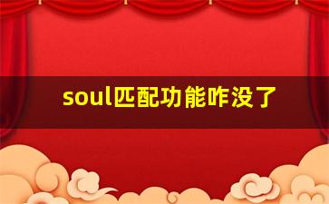 soul匹配功能咋没了