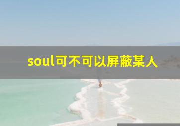 soul可不可以屏蔽某人