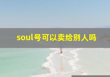 soul号可以卖给别人吗