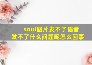 soul图片发不了语音发不了什么问题呢怎么回事