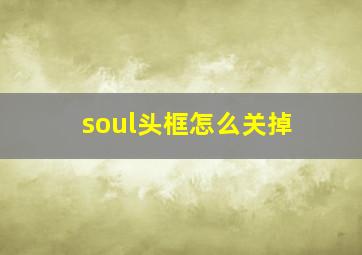 soul头框怎么关掉